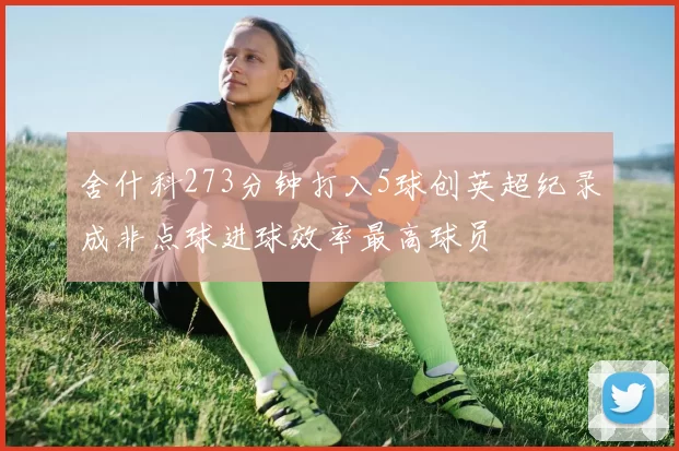 舍什科273分钟打入5球创英超纪录成非点球进球效率最高球员