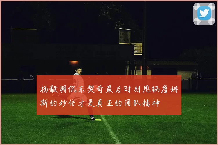 杨毅调侃东契奇最后时刻甩锅詹姆斯的妙传才是真正的团队精神