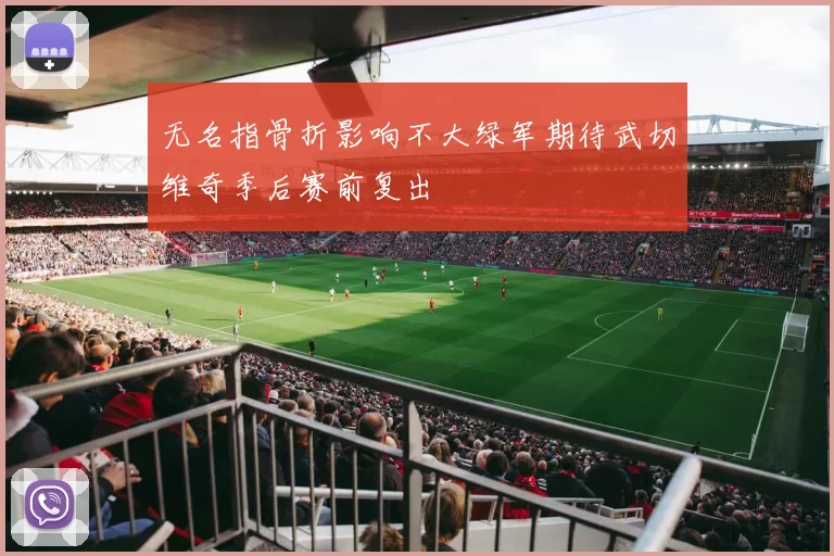 无名指骨折影响不大绿军期待武切维奇季后赛前复出